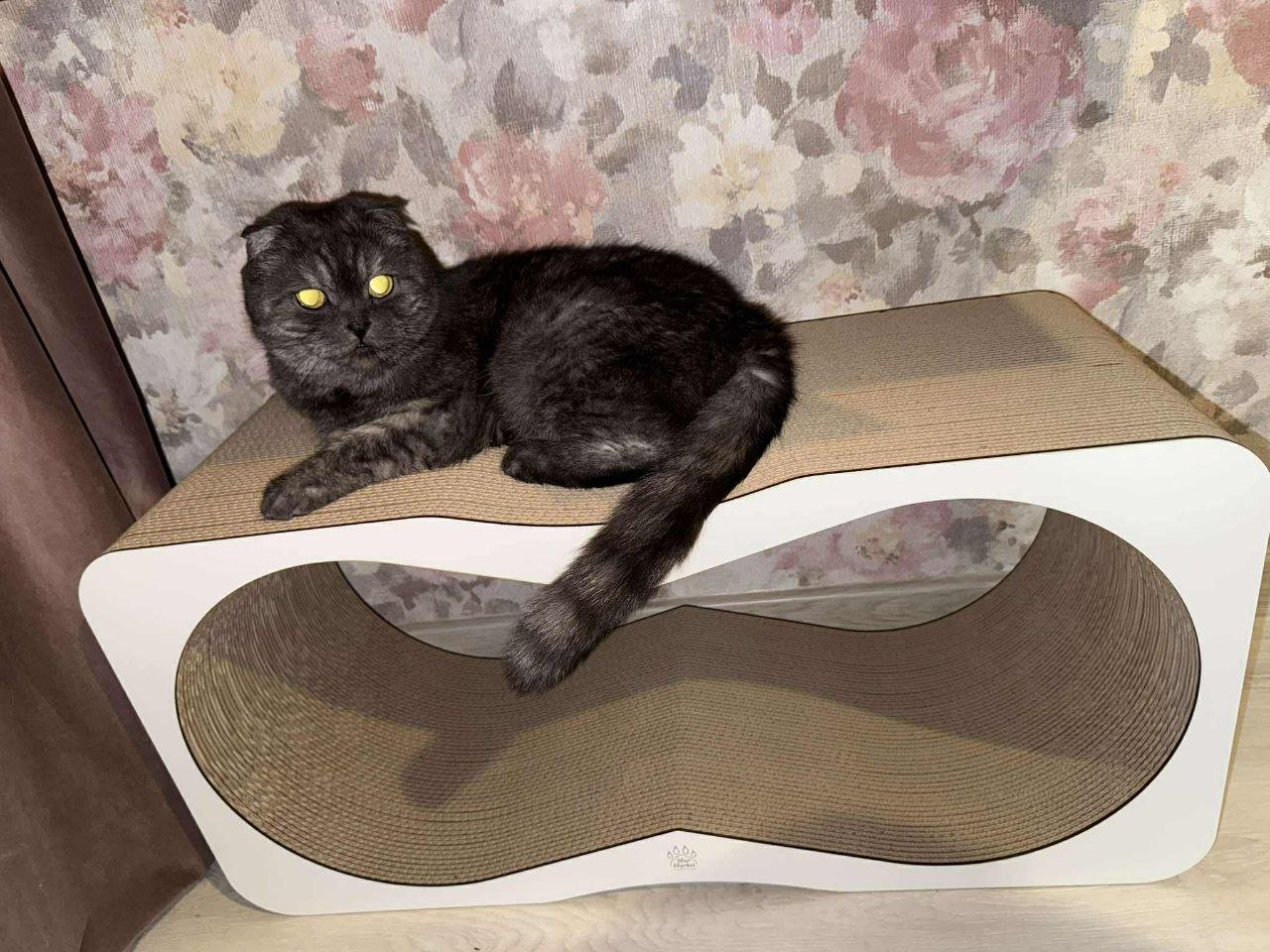 photo_1_2026-01-16_10-23-20