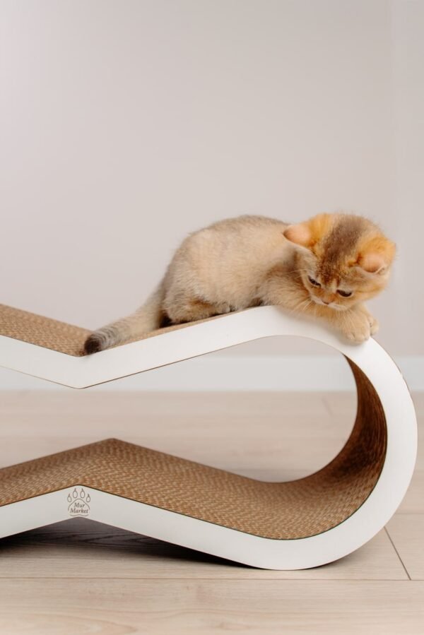 Tiny Tiger M - 66 × 26 × 22 cm