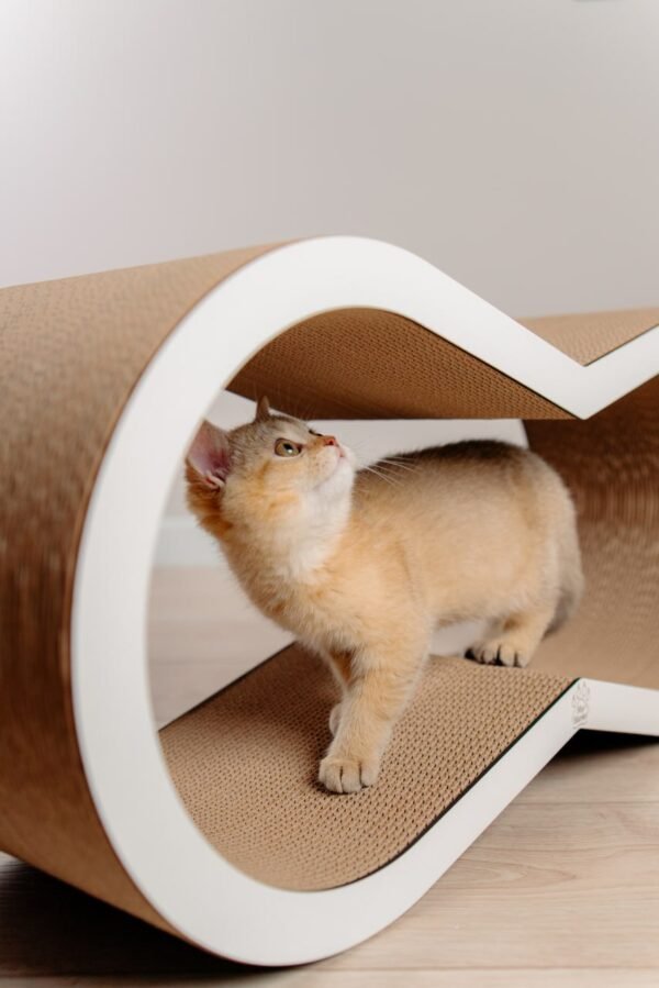 Dream L - 72 × 32 × 22 cm