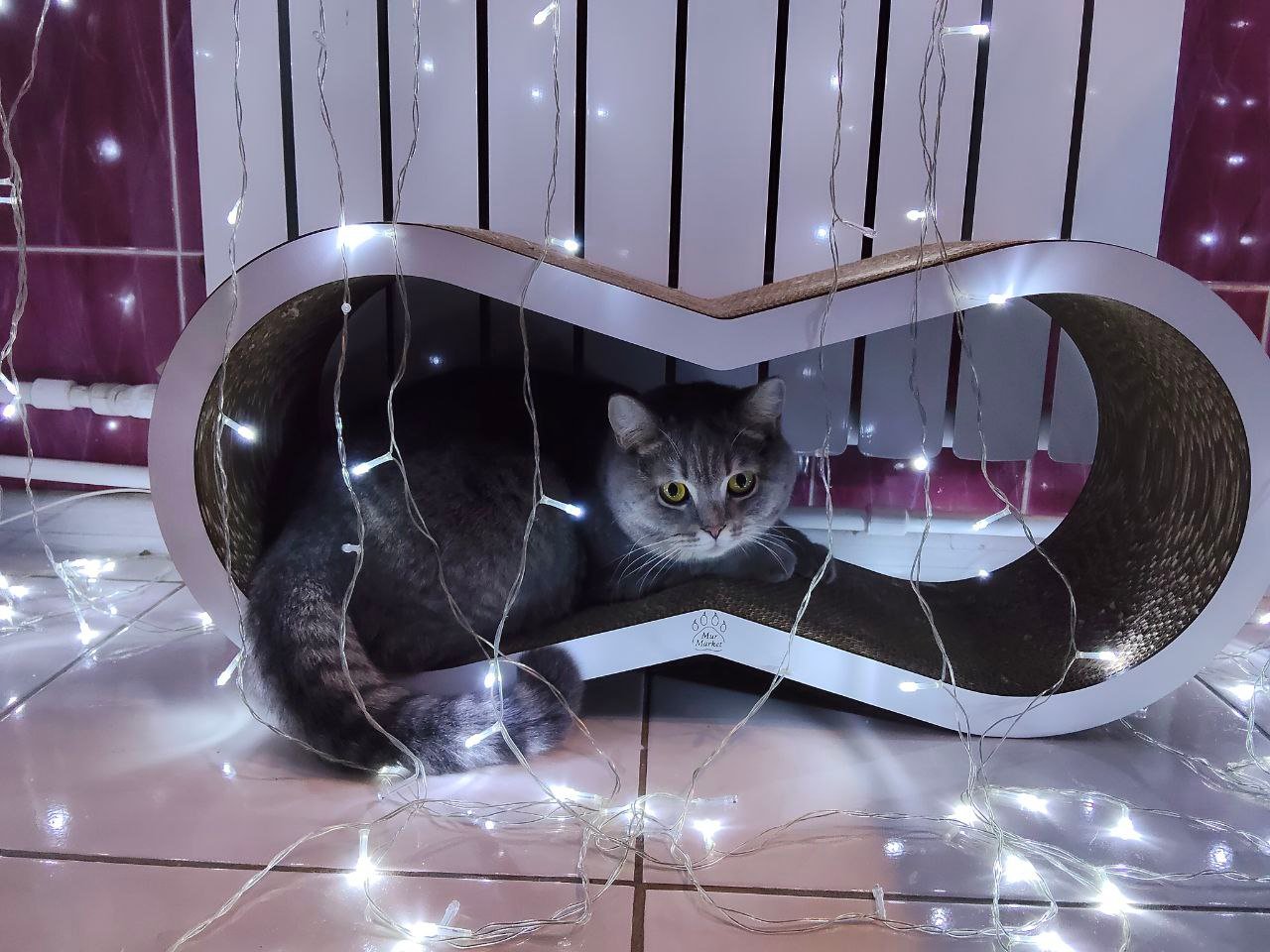 photo_2026-01-19_14-25-30