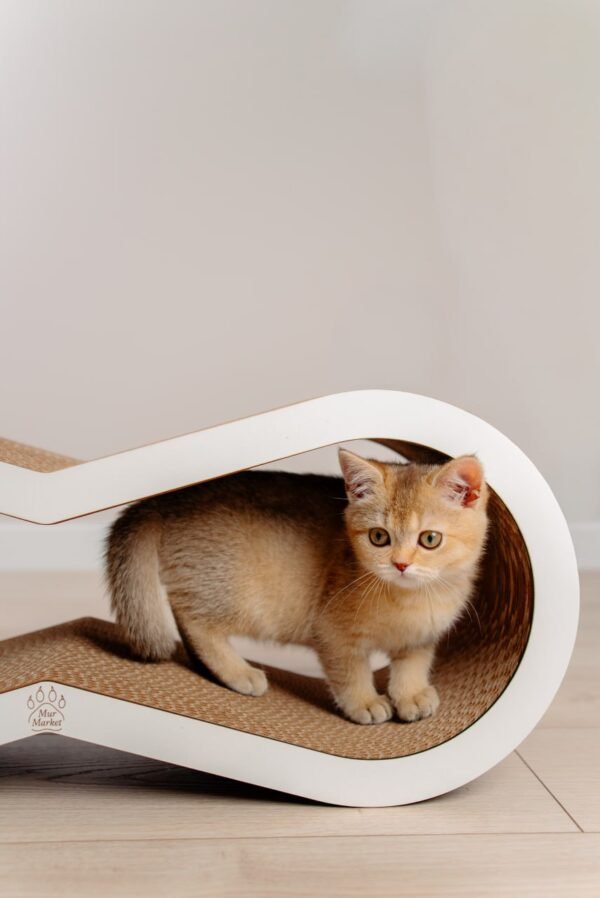 Tiny Tiger M - 66 × 26 × 22 cm