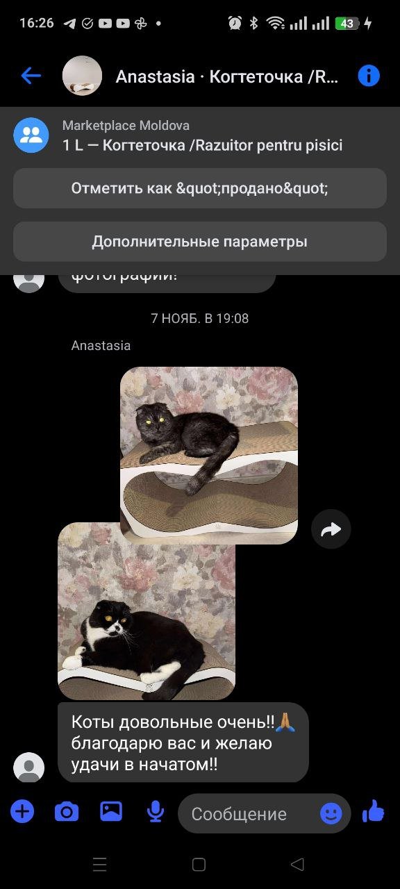 photo_3_2026-01-16_10-23-20