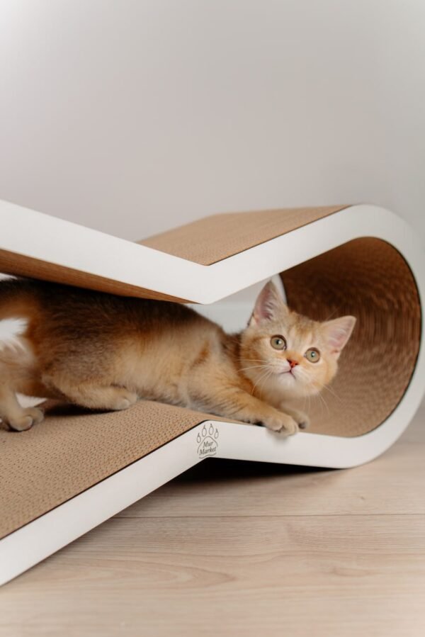 Tiny Tiger M - 66 × 26 × 22 cm