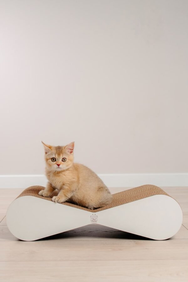 Tiny Tiger mini - 54 × 14 × 22 cm