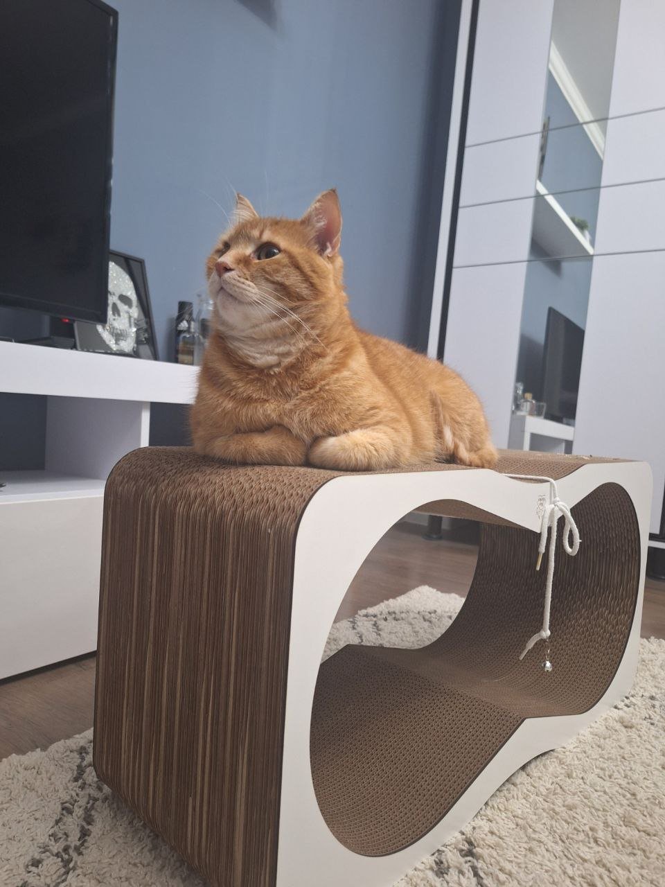 photo_4_2026-01-16_10-23-20