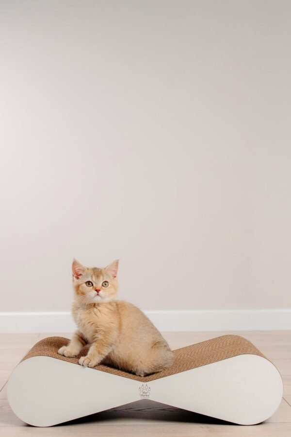 Tiny Tiger mini - 54 × 14 × 22 cm