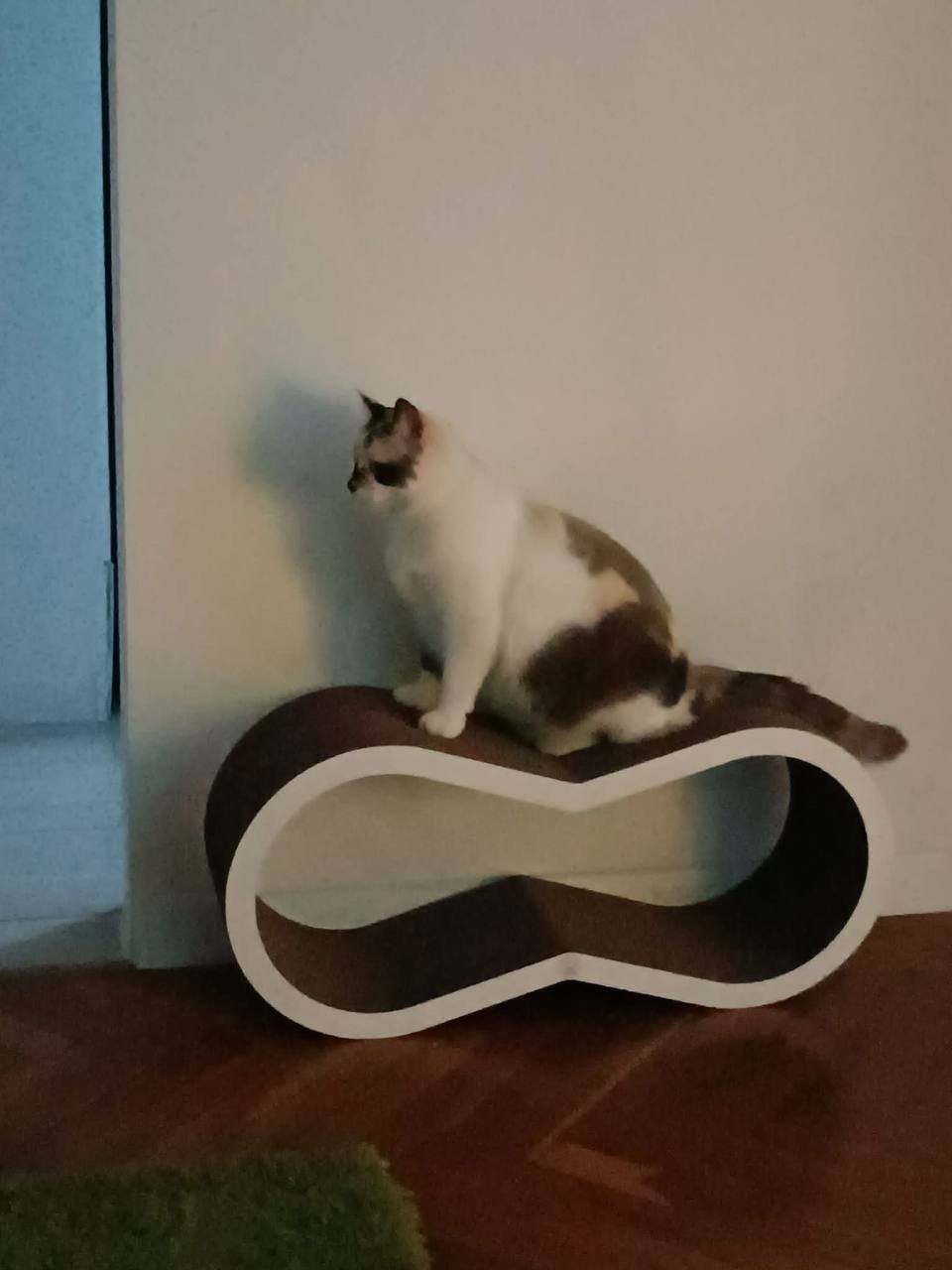 photo_5_2026-01-16_10-23-20