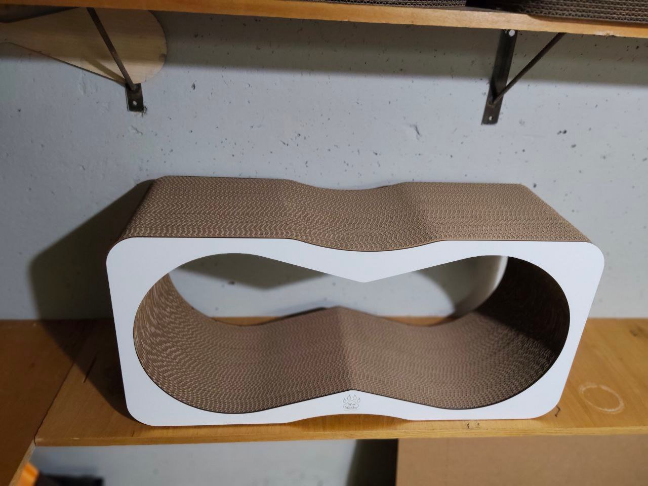 photo_5_2026-01-16_10-23-44