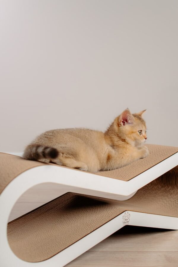 Tiny Tiger S - 60 × 20 × 22 cm