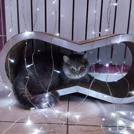 photo_2026-01-19_14-25-30