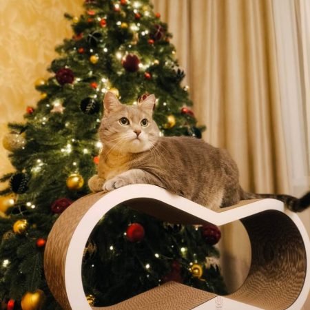 photo_3_2026-01-19_14-21-08